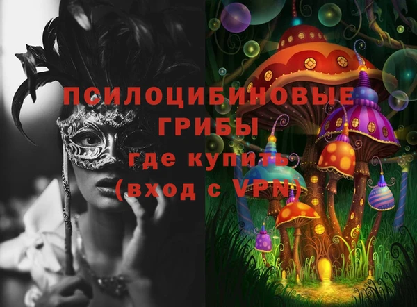 кокс Алексин