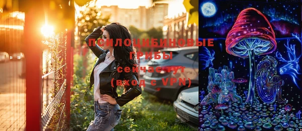 кокс Алексин
