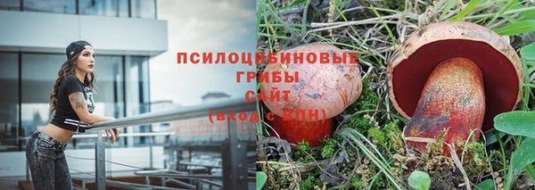 герыч Алексеевка